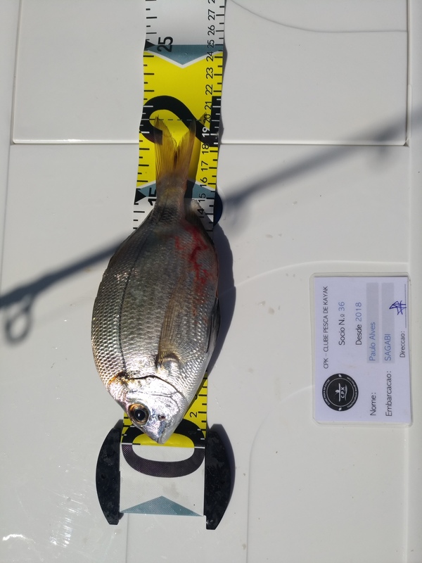 Fish Measure Picture