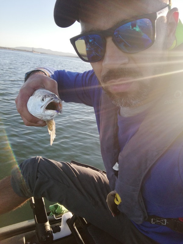 Fish Profile Picture