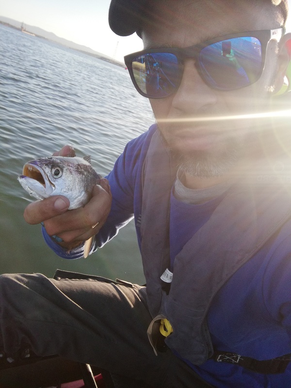 Fish Profile Picture