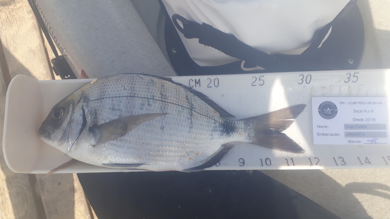Fish Measure Picture