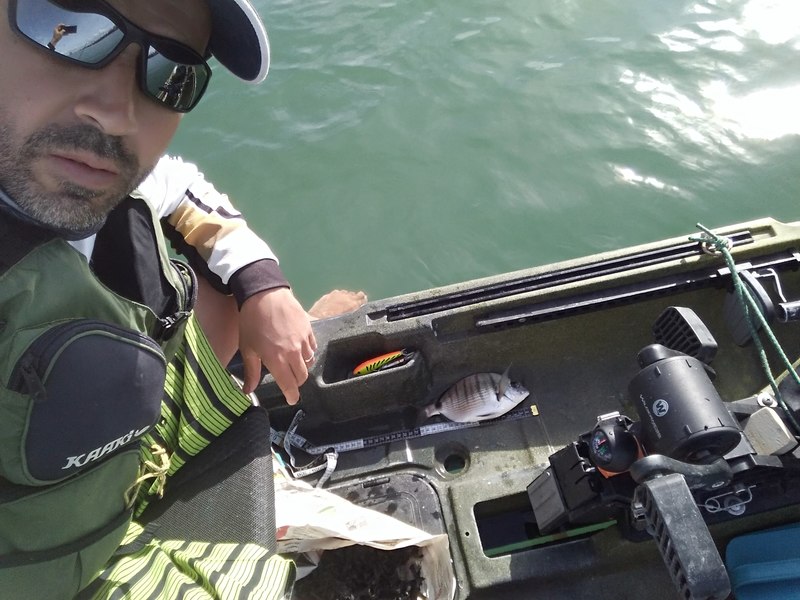 Fish Measure Picture