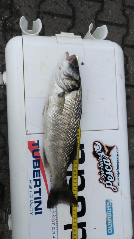 Fish Measure Picture