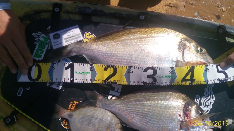 Fish Measure Picture