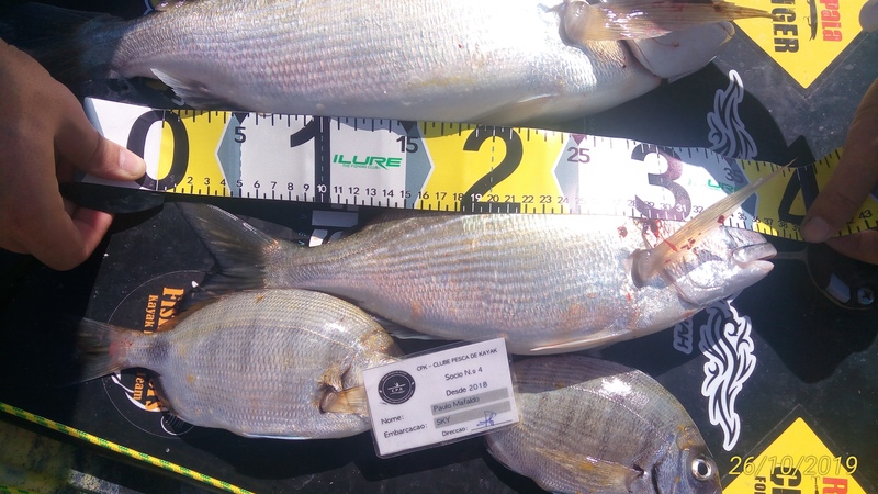 Fish Measure Picture