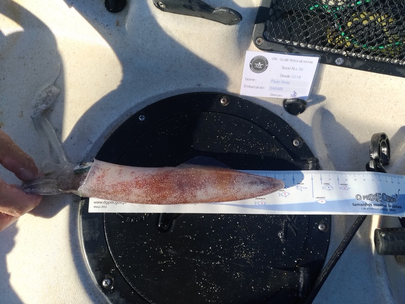 Fish Measure Picture