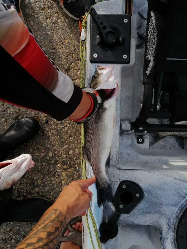 Fish Measure Picture