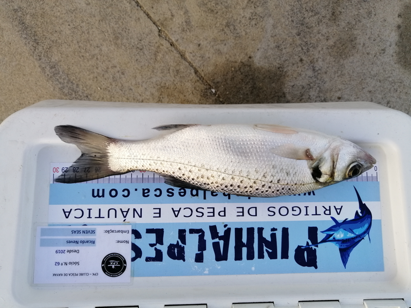 Fish Measure Picture