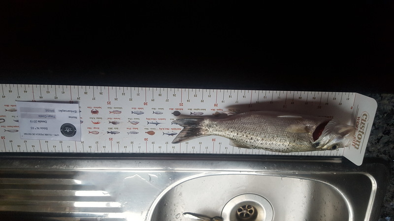 Fish Measure Picture