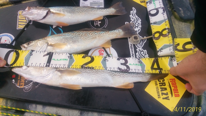 Fish Measure Picture