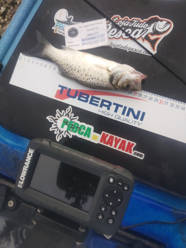 Fish Measure Picture