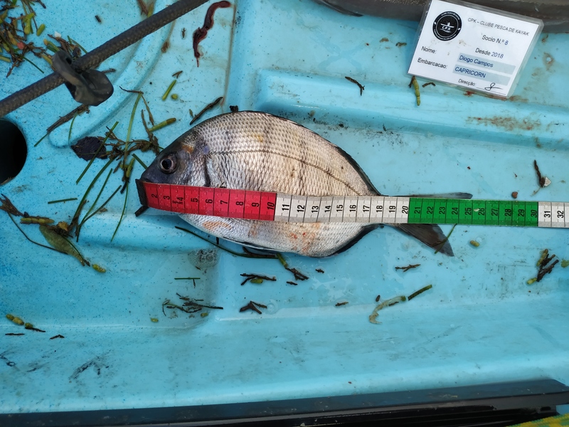 Fish Measure Picture