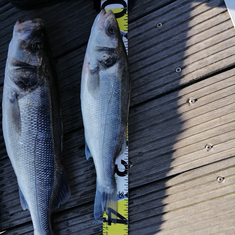 Fish Measure Picture