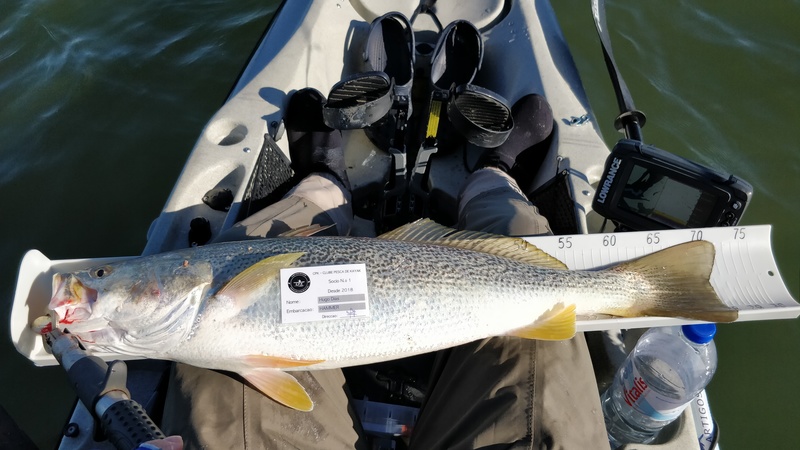 Fish Measure Picture