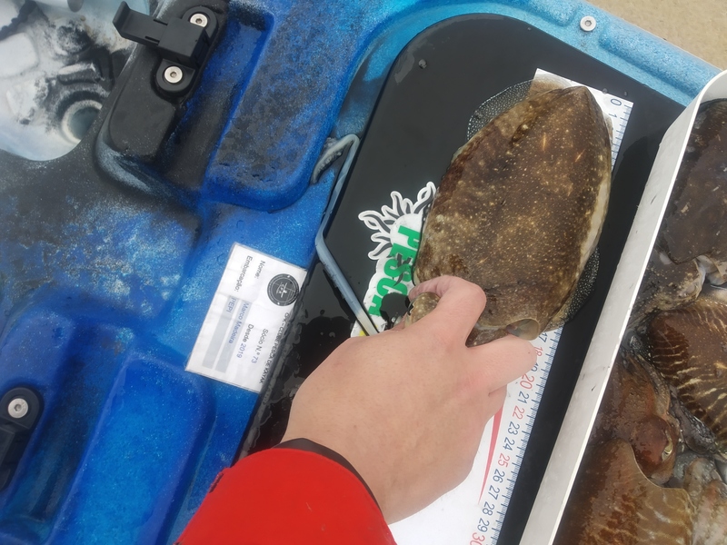 Fish Measure Picture
