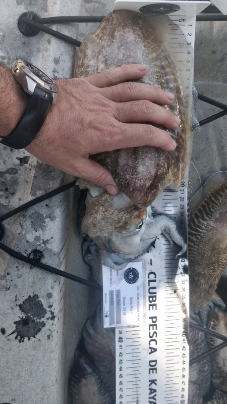 Fish Measure Picture