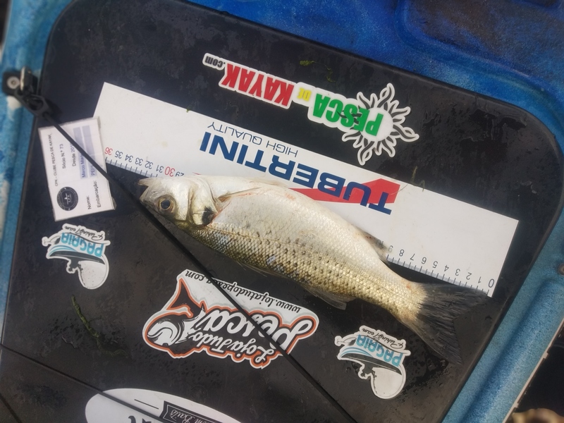 Fish Measure Picture