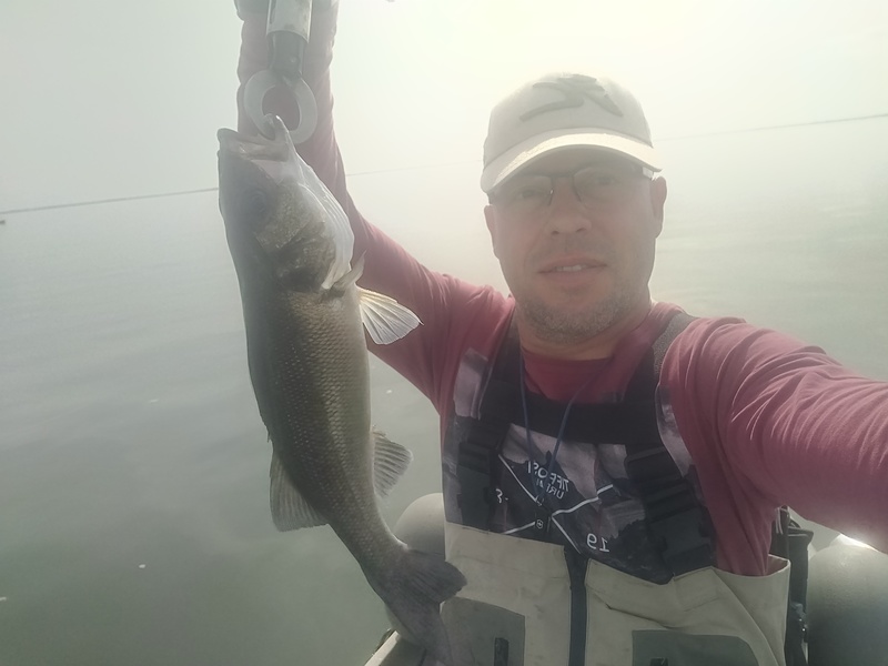 Fish Profile Picture