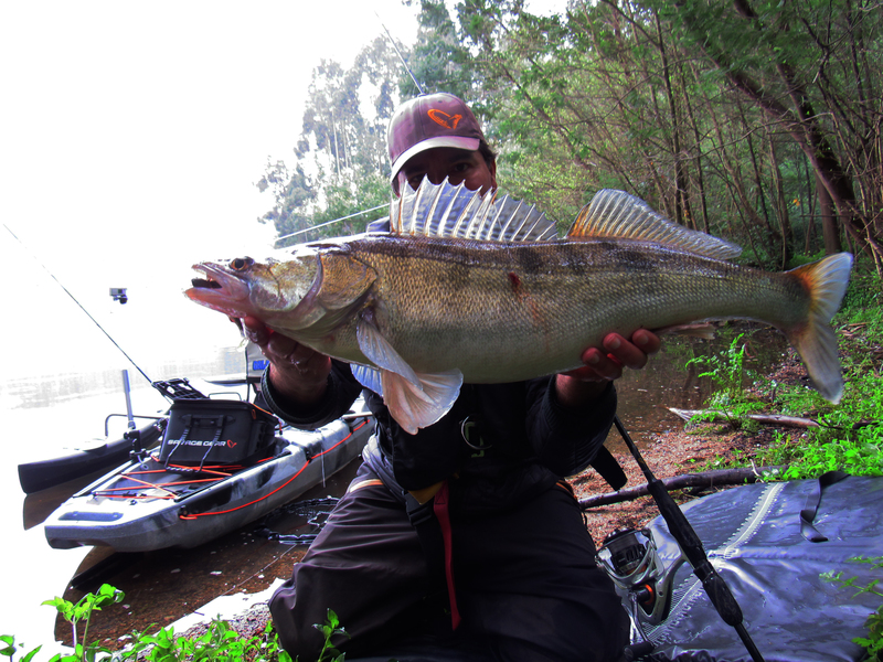 Fish Profile Picture