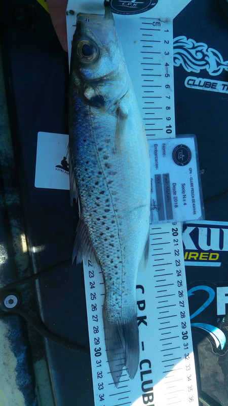 Fish Measure Picture