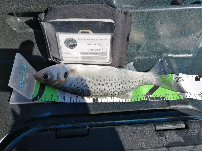 Fish Measure Picture