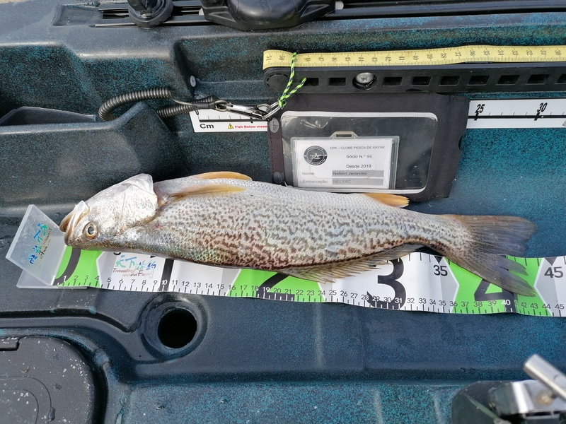 Fish Measure Picture