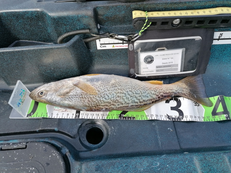 Fish Measure Picture