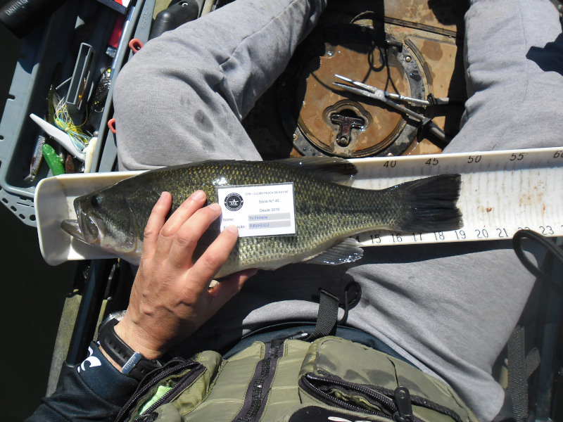Fish Measure Picture