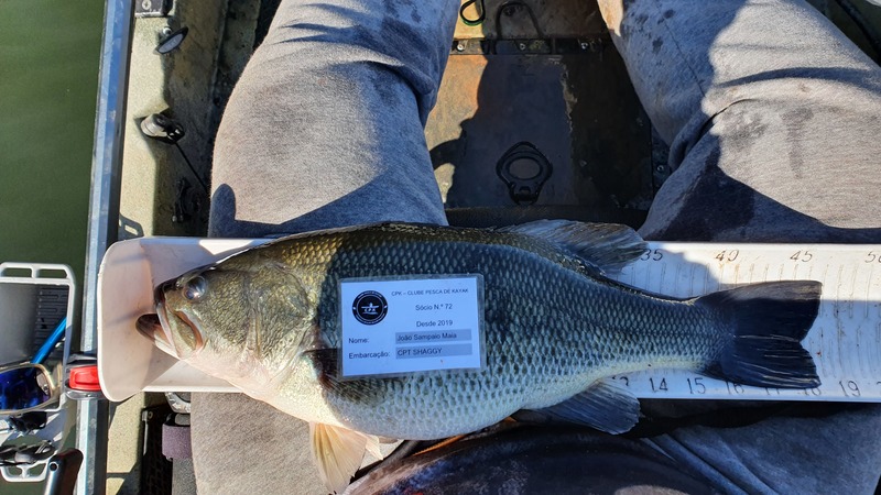 Fish Measure Picture