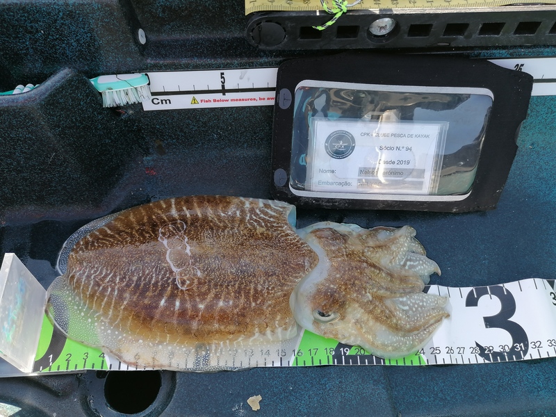 Fish Measure Picture