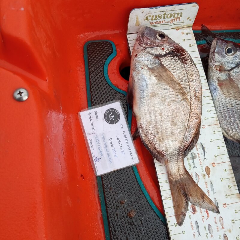 Fish Measure Picture