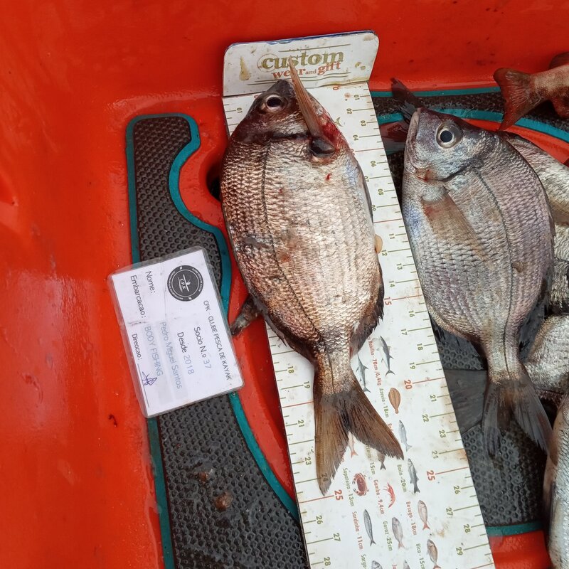 Fish Measure Picture