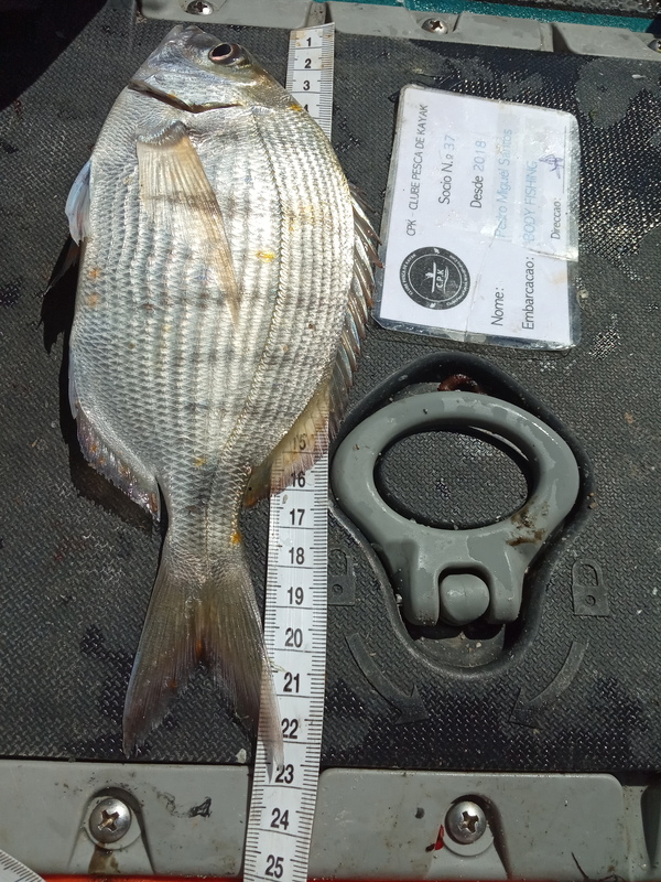 Fish Measure Picture