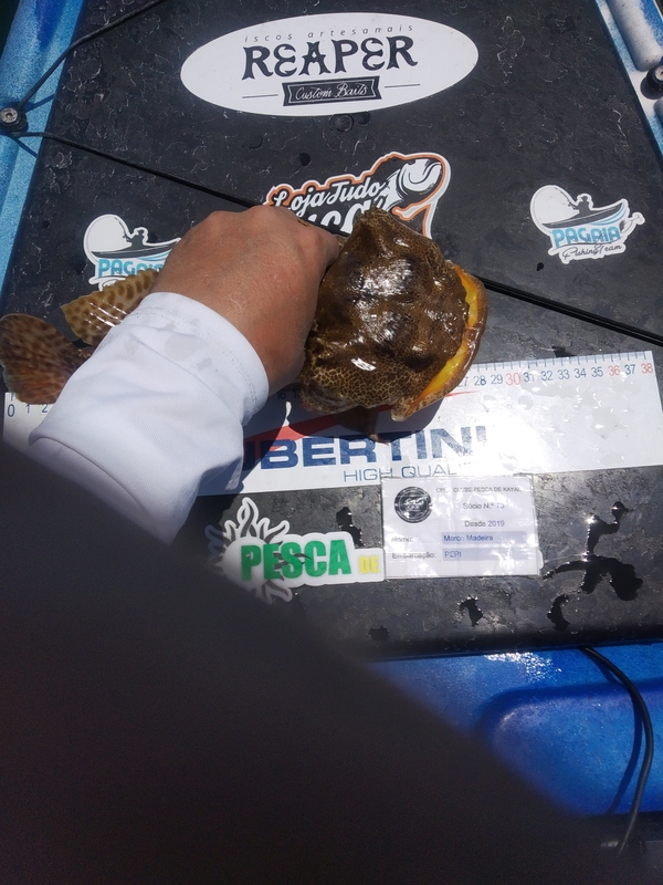 Fish Profile Picture