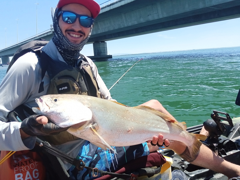 Fish Profile Picture