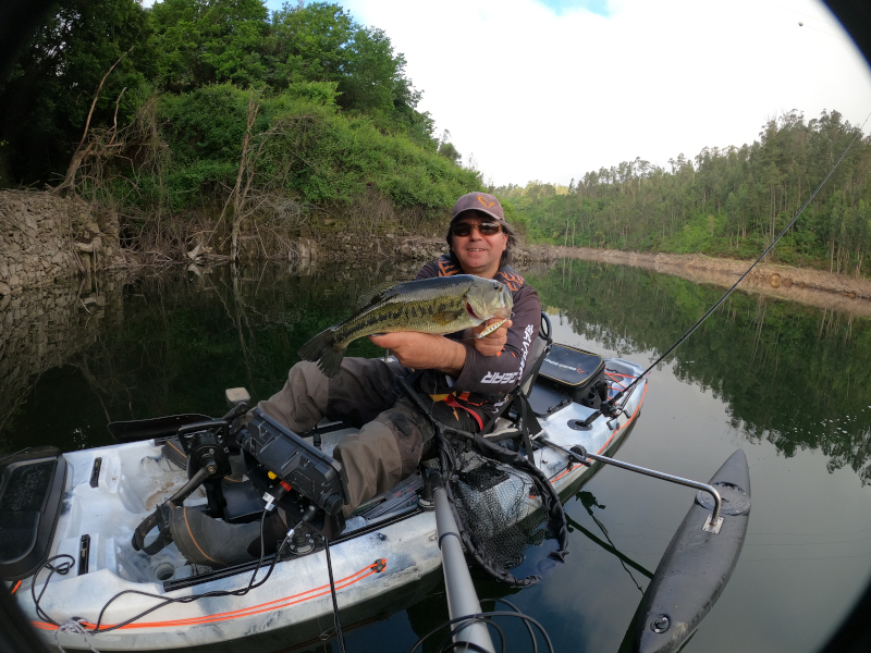 Fish Profile Picture