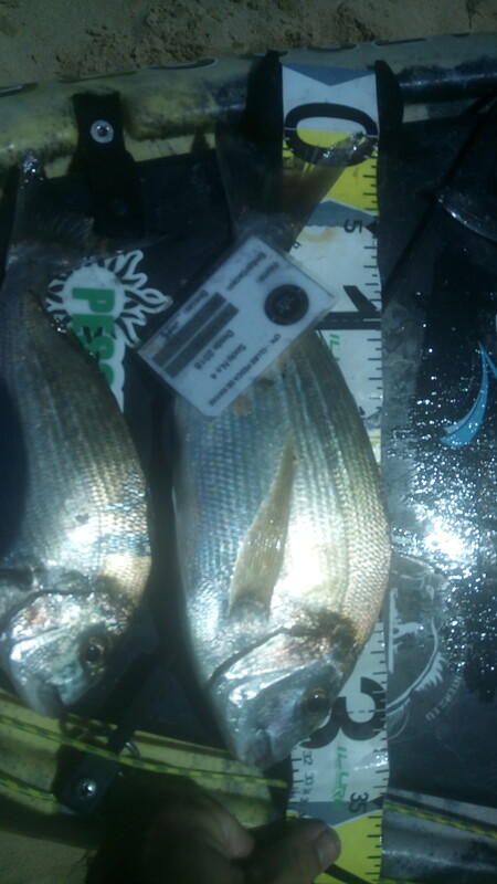 Fish Measure Picture