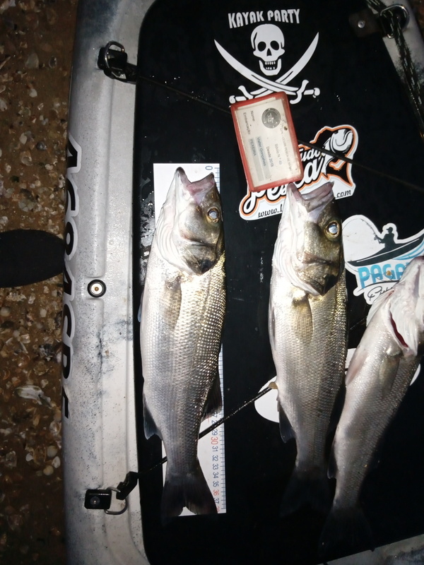 Fish Measure Picture