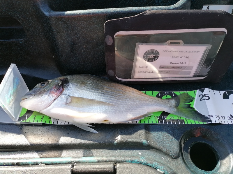 Fish Measure Picture