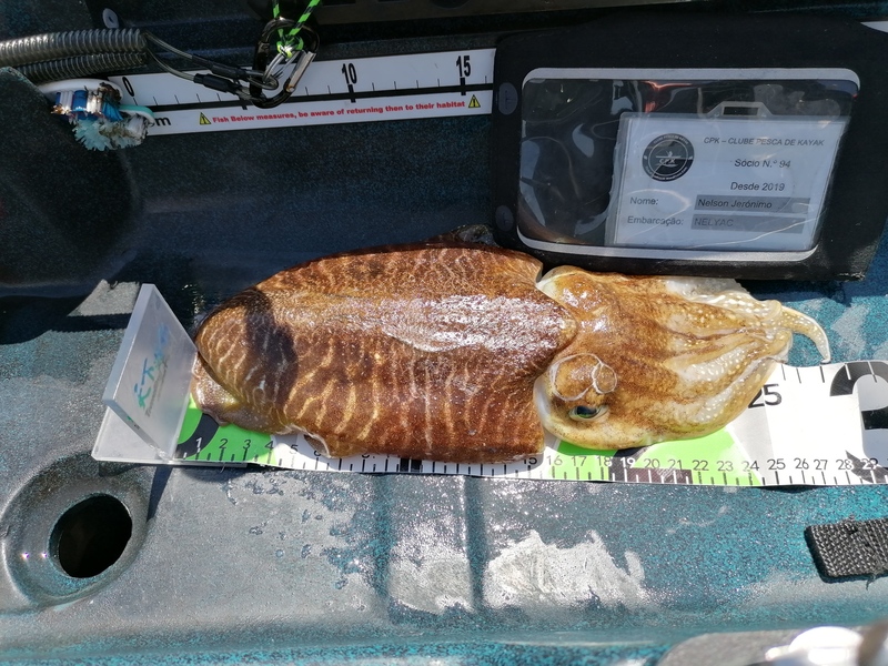 Fish Measure Picture