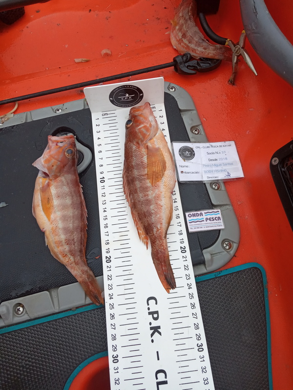 Fish Measure Picture