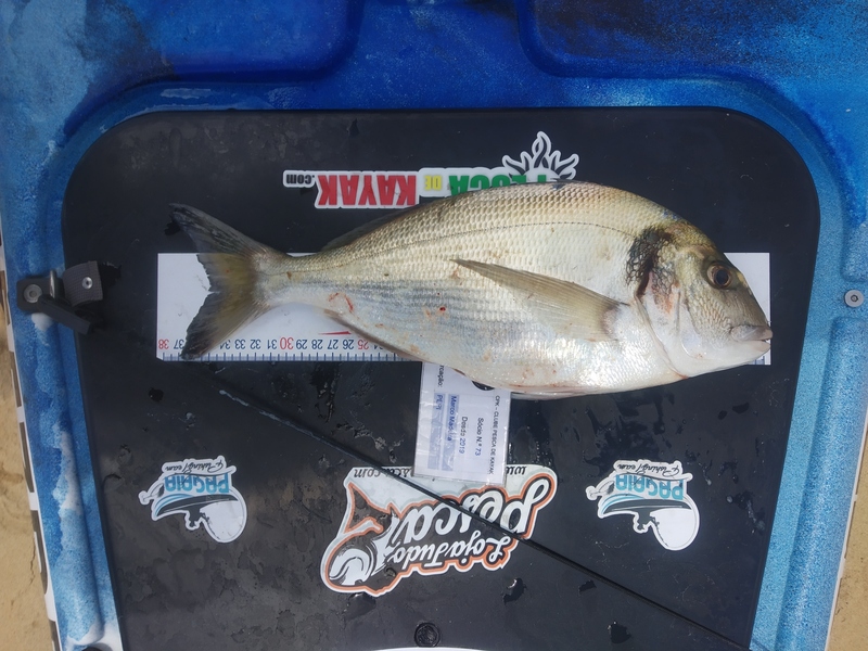 Fish Measure Picture