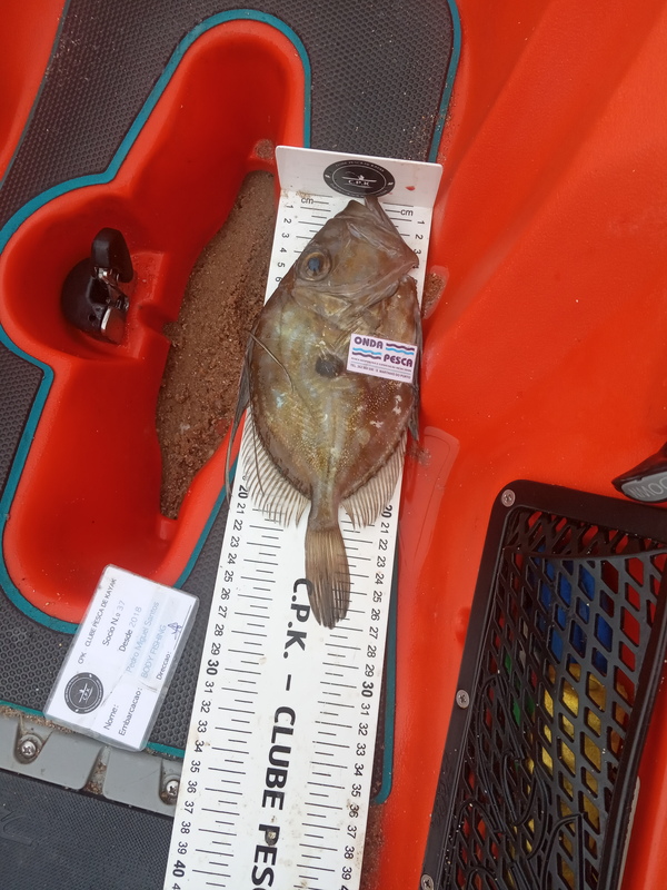 Fish Measure Picture