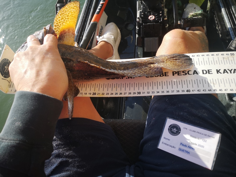 Fish Measure Picture
