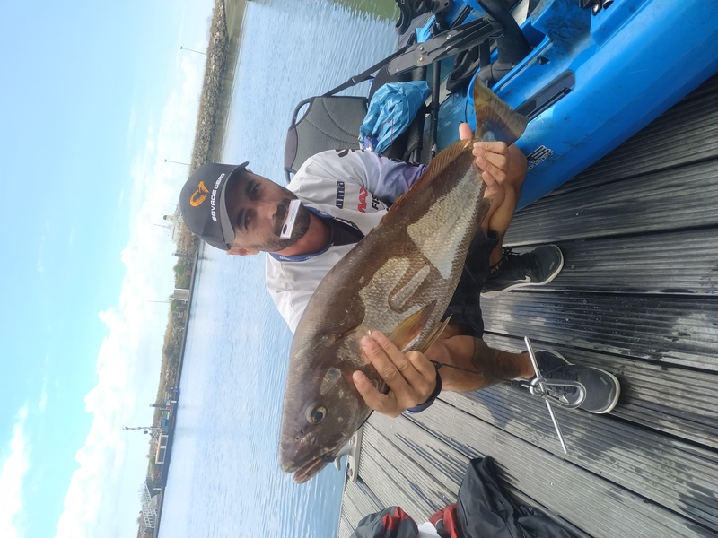 Fish Profile Picture