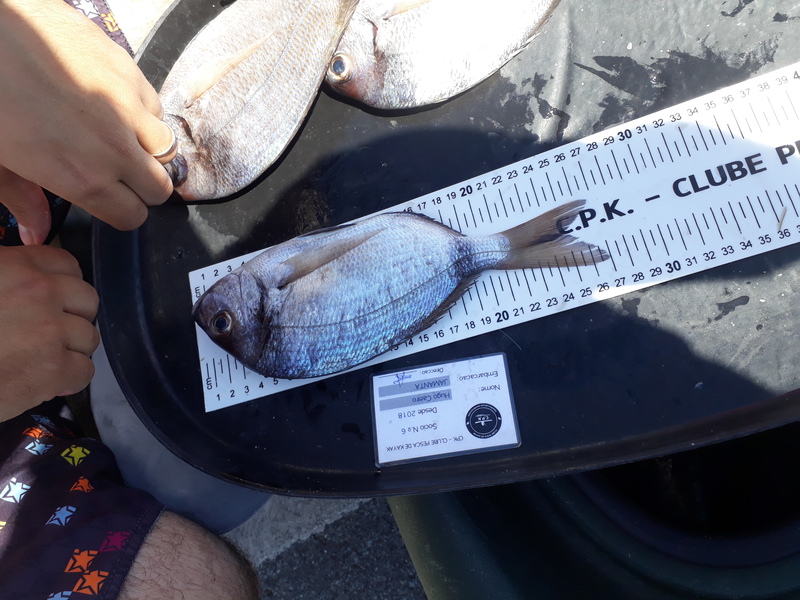 Fish Measure Picture