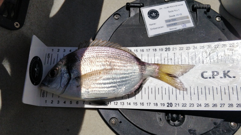 Fish Measure Picture