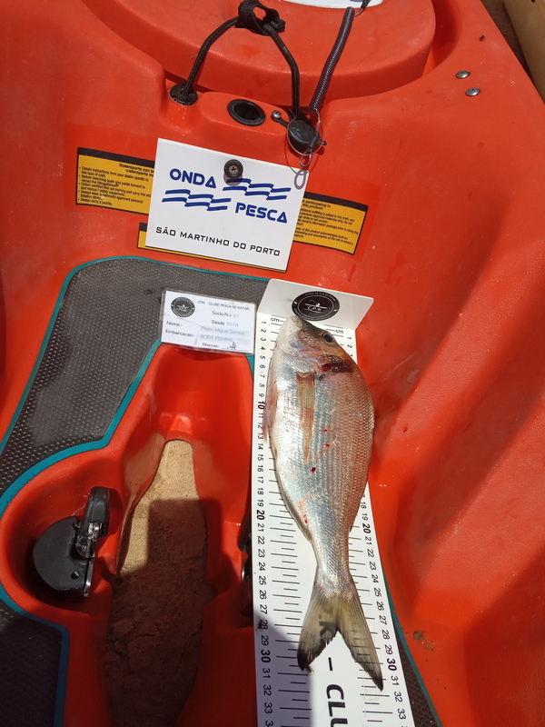 Fish Measure Picture