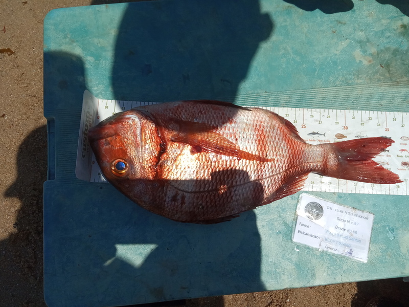 Fish Measure Picture