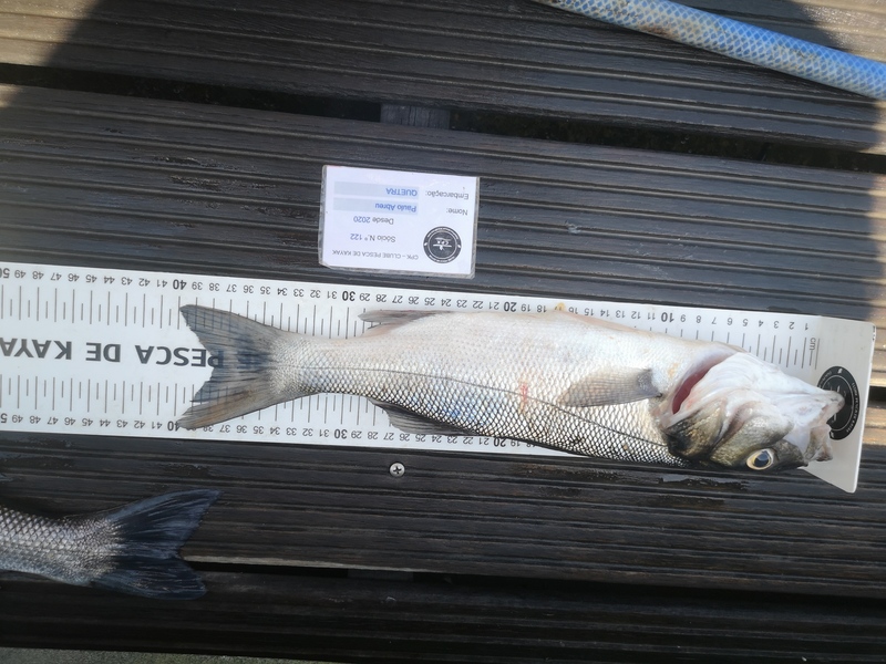 Fish Measure Picture