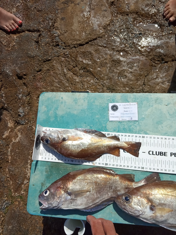 Fish Measure Picture